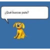 ¿Qué buscas puta?