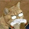 Memes Without Context 4 9