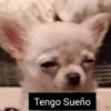 Tengo Sueño 23