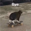 Bye
@永远妖妇