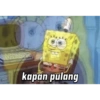 kapan pulang
