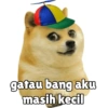 Kocheng&doge slebewww 9