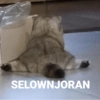 TAR SELOWNJORAN