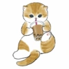 Abel's cat 1 30