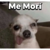Me Morí