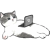 Gatitos 18