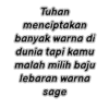 Tuhan
menciptakan
banyak warna di
dunia tapi kamu
malah milih baju
lebaran warna
sage