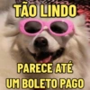Oi crush 🤭 6