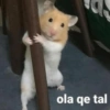 Animalitos con frases 1 ❤️😎 13