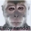 Estoy riendo?