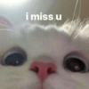 i miss u