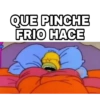 QUE PINCHE
FRIO HACE
