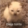 bieja tonta