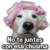 PAYI No te juntes con esa chusma