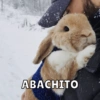 Animalitos🐾🥰 17