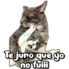Te juro que yo
no fuiii