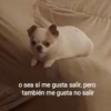 o sea sí me gusta salir, pero
también me gusta no salir