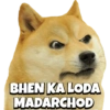 Viral Memes 7
