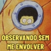 CO
OBSERVANDO SEM
ME ENVOLVER