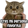 @rose.stickersi
Eres mi persona
favorita