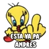 ESTA VA PA
ANDRES