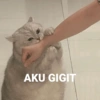 AKU GIGIT