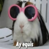 Ay equis
