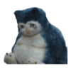 Sad Cats 20
