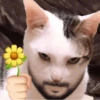 J