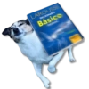 LAROUSSE
DICCIONARIO
Básico
ESCOLAR
KANE STICKERS
NUEVA