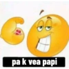 G
36
pa k vea papi