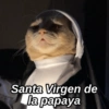 Santa Virgen de
la papaya