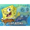 SIAP BOSKU