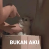 BUKAN AKU