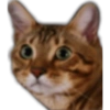 Robleis Twitch 26