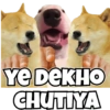 Dog Memes 12