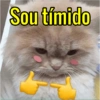 Sou tímido