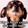 Voy a hacer como
que no vi nada