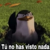 Tú no has visto nada