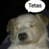 Tetas