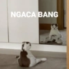 NGACA BANG