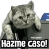 @rose.stickers1
Hazme caso!