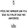 O POIS ME MANDA UM PIX QUE EU FINJO QUE ME IMPORTO. CITEI CEARENSES