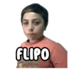 FLIPO