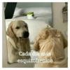 Cada día más esquizofrenico