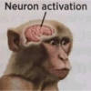 Neuron activation