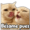 (@Vickyfas
Bésame pues