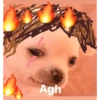 Agh