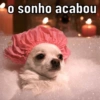 FIGURINHAS SUGERIDAS  6