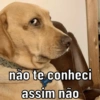 SEQUÊNCIA DE MEMES 😜 8